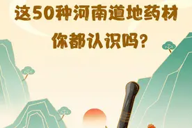 河南发布50种道地药材|飘中原药香图片