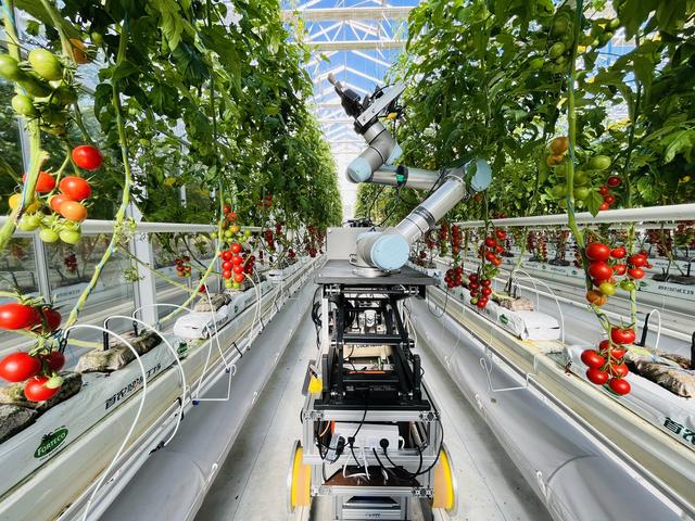 科学与健康丨帮助作物“优生优育”！首台全流程智能育种机器人来了