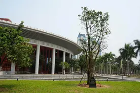 心相近｜“中越友好的根基在人民”图片