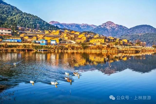 2025“邕BA”文旅体商融合线路推荐：以篮球为钥，解锁南宁全域之美​