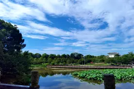 诗歌丨宋谋万：蓝天、白云、绿地（组诗）图片