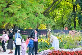 复兴公园首开百人瑜伽！花海里的生活节缘何受市民追捧图片