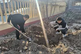 山东省住建厅派驻东明县陆圈镇第一书记工作组：党建引领添新绿图片