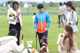 新春庙会、抢花炮...来三水集福气，开启非遗闹春之旅！| 烟火三水图片