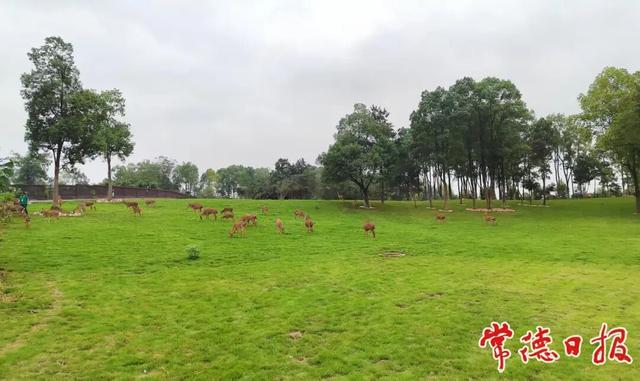 跨越山水 常德汉寿向重庆发出“快旅慢游”新邀约！