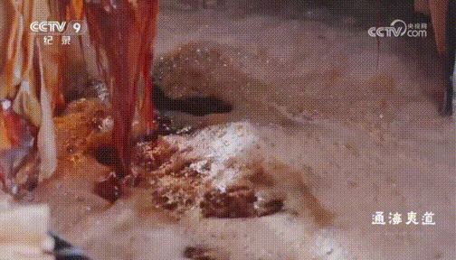 央视热播纪录片《珠江》中的南沙→