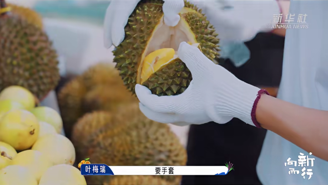 新华社携手董宇辉，走进广西的蔚蓝海岸……