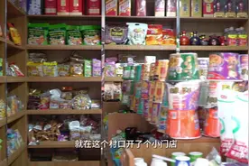 勤劳叩开致富门！在十里铺村感受村民好日子图片
