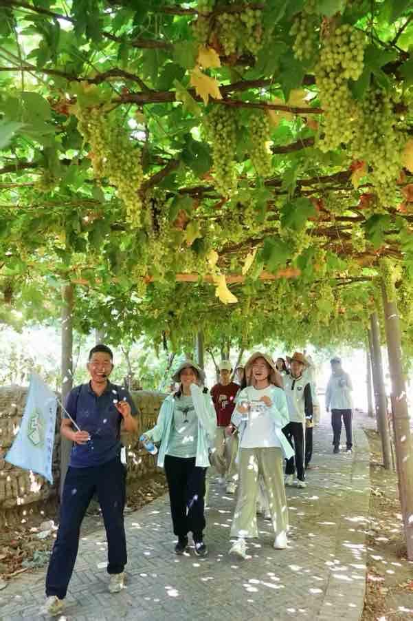 葡萄沟的甜蜜生活