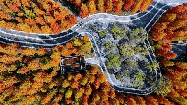 酉阳初冬美景合集：邂逅山间调色盘，每一帧都是壁纸！