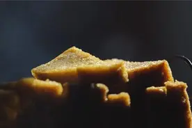 变化中的安海味图片