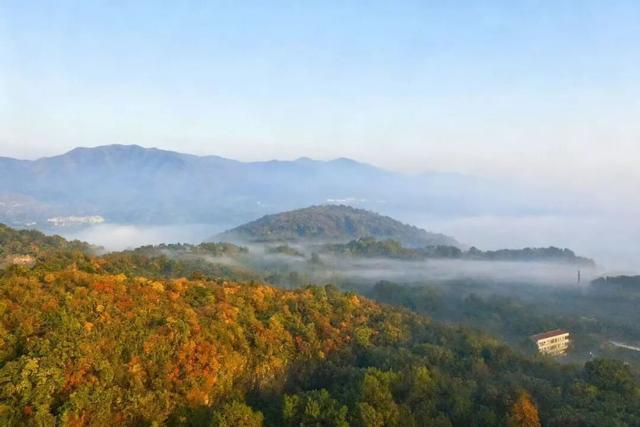 藏不住了！看一眼就“沦陷”！