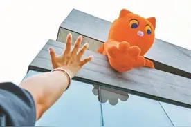 馆猫叫您来打个盹儿！中国版画博物馆推出猫主题版画展图片