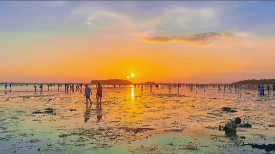 点我！6条精品线路带你爽玩蚝情之旅~