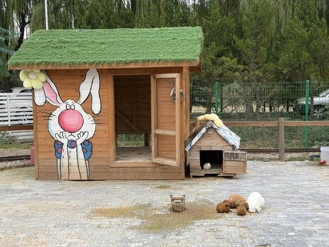 记者手记：在玉符河畔，触摸一座城市的生命脉搏