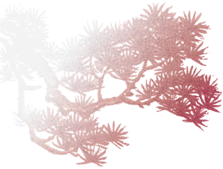 山水为席，美食作陪，一场穿越桂北的感官盛宴