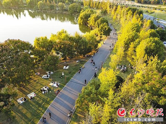 在长沙捡个秋 | 组图