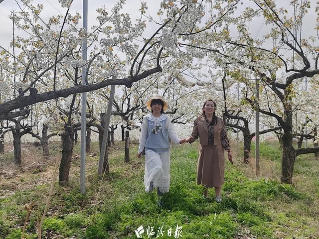 如何让“爆火”走向“长红”？看山西隰县答卷