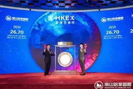 南山铝业国际港股上市，山东这个村委会旗下为何能拥有四家上市公司？| 大鱼财经图片