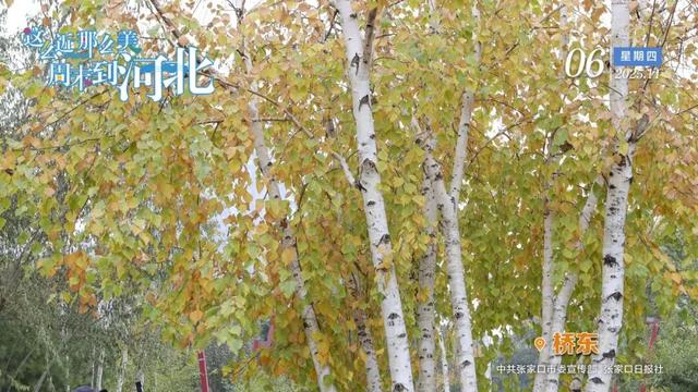 北京——崇礼滑雪直通车即将开通！