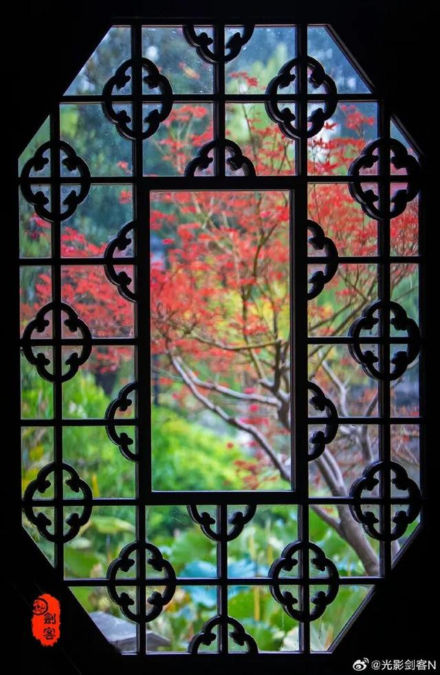 怎么能错过秦淮的秋天呢？