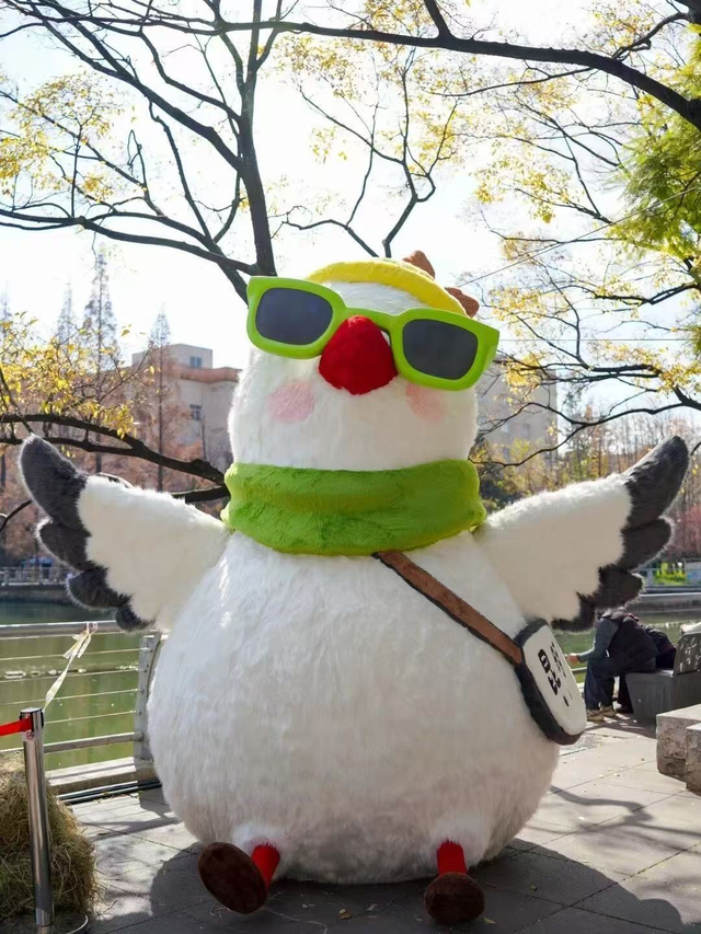 西山区22项活动带你精彩跨年