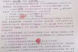 幼儿园开学23天后停办拒退费，负责人称“等东山再起就还钱”图片
