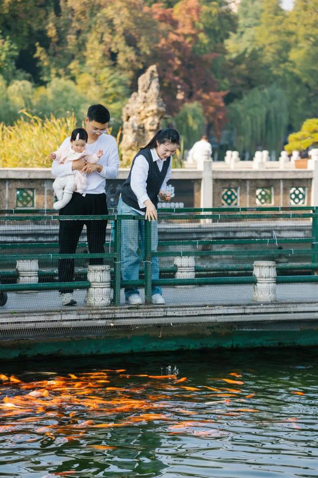 东湖秋日图鉴②｜邂逅听涛，定格秋的独家记忆