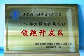 合肥蜀山经开区获评2024安徽省亩均效益领跑开发区图片