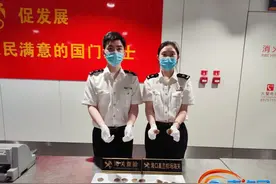 形迹可疑！旅客违规携带穿山甲鳞片入境被查获图片