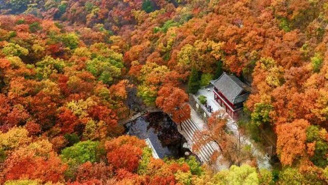 山村歌会牵手红叶节，盘山开启“双拼”盛宴！