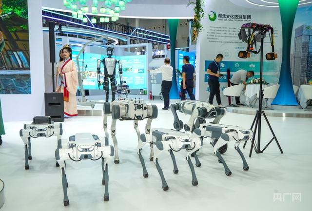 组图｜一站式游中国  2025中国文化旅游产业博览会在武汉举办
