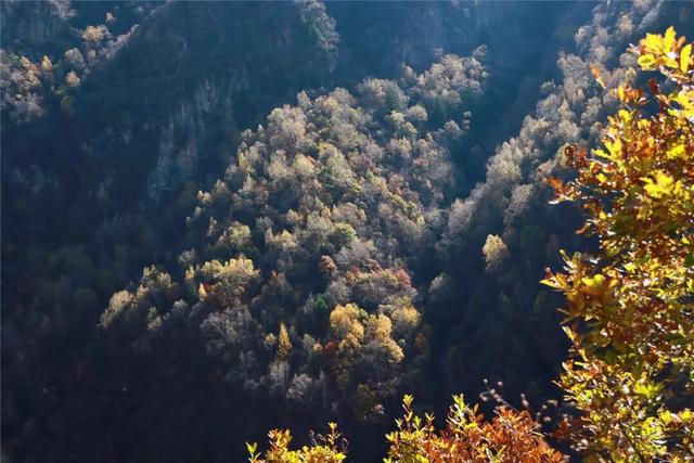 学习强国 | 河北蔚县：山色斑斓别样美