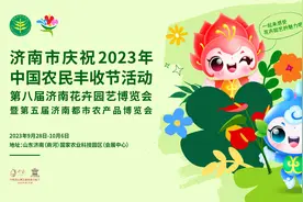 打造世界风情馆、花绘中国馆、花卉泉城馆......济南市第八届花博会亮点纷呈图片
