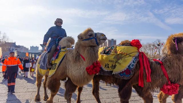 踏破风沙赴神都，白云山赠“终身旅游卡”！让天山来客常回“家”看看