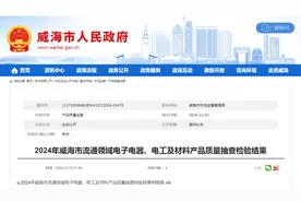 2024年山东省威海市流通领域电子电器、电工及材料产品质量抽查检验结果公布图片