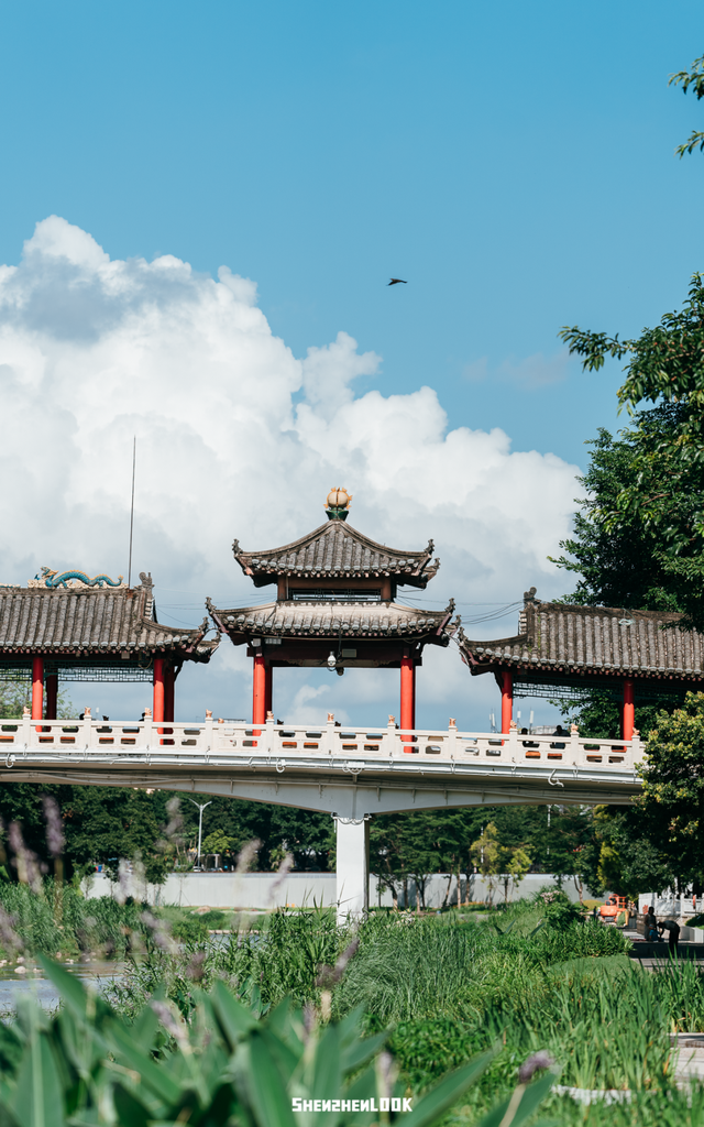 “接下来深圳这个地方，是粉色的”