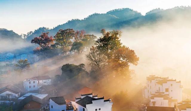 上饶绝美“枫景”加载完毕，前往石城锁定你的赏枫C位！