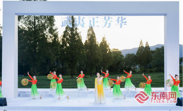 2025武夷山茶园文化季暨两山青年嘉年华在福建武夷山举行