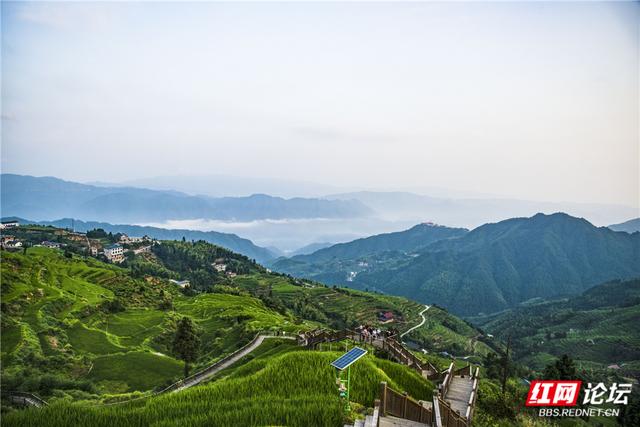 【每日一图@湖南】千层绿浪，漫过山背的夏天