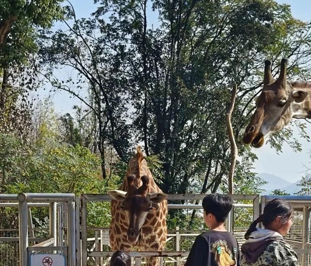 贵溪人，秋高气爽，去这儿玩！