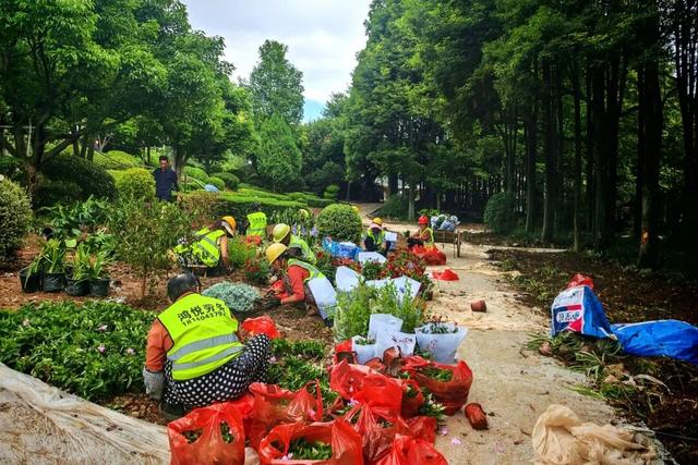 会理绿地广场焕新倒计时！古城核心崛起“城市会客厅”