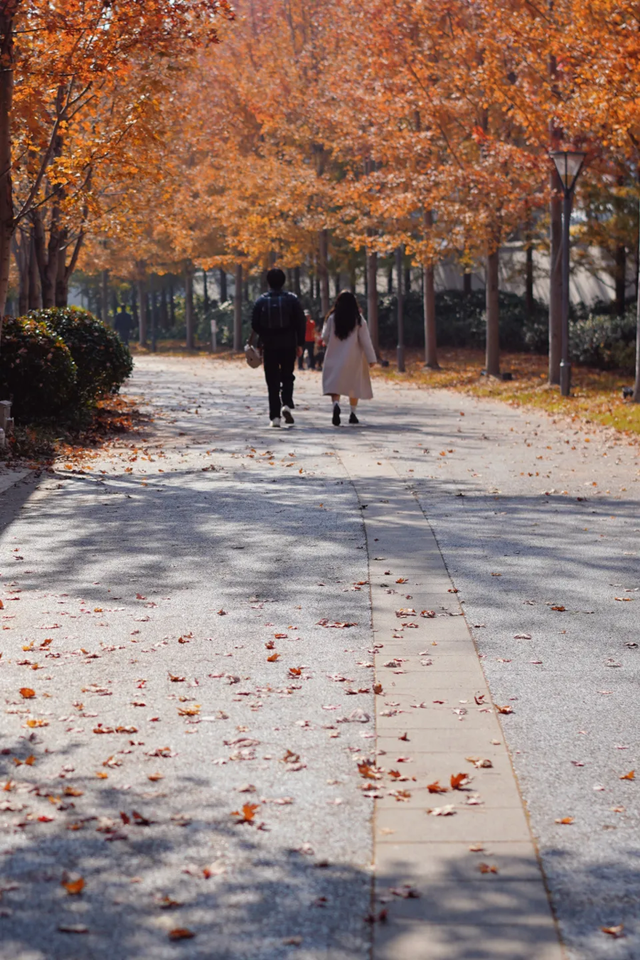 网红纷纷奔赴这！上海这座通往 “欧洲城堡” 的绝美旋梯火了！