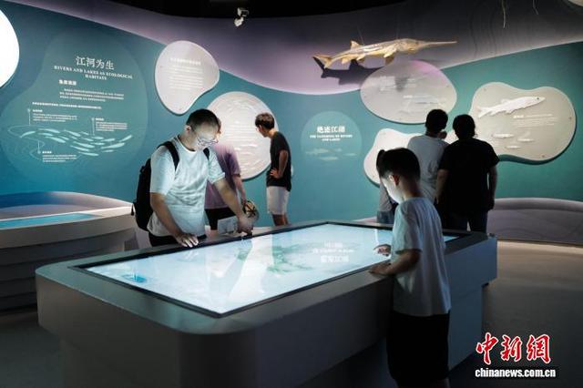 中国湿地博物馆夏日引游人 尽显人与自然之美