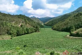 云南屏边：筑牢粮食安全“耕”基图片