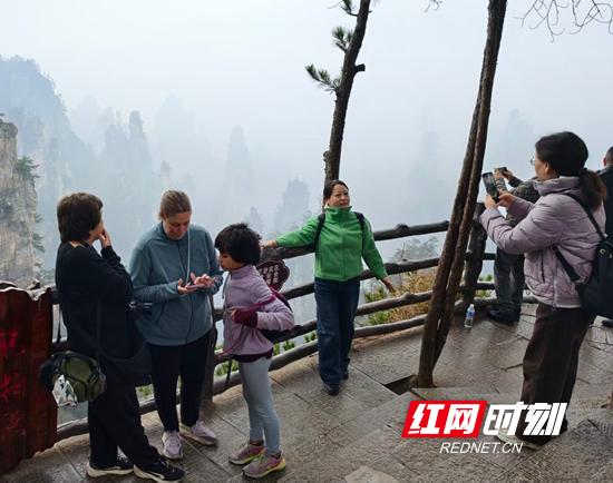 张家界国家森林公园入境游开局良好（组图）