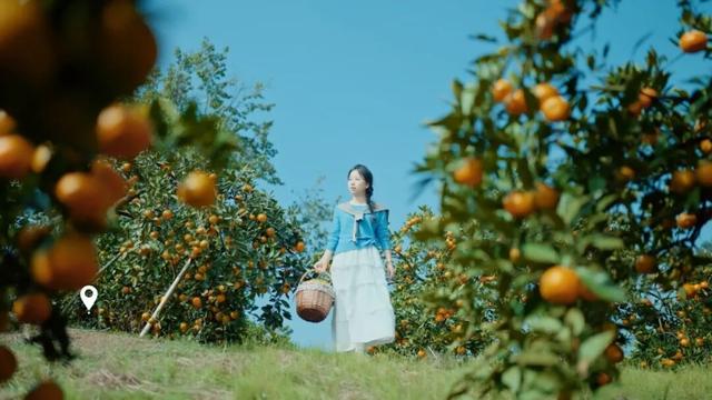 组个“橘” “宜”起“都”来解锁新乐趣→