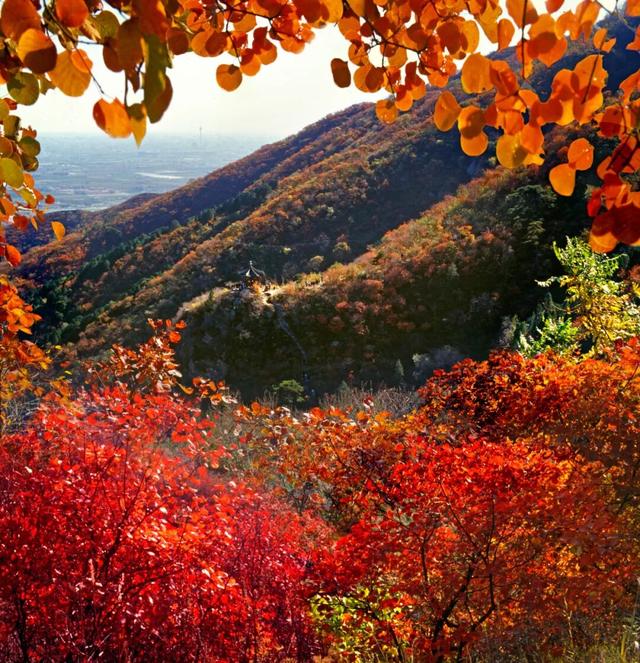 11月最应该去哪里旅行？