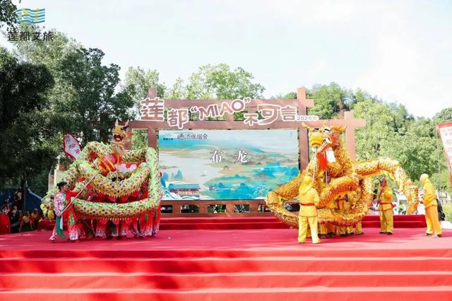 这两天，莲都这里人气爆棚！