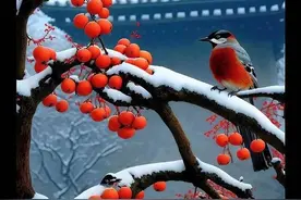 雪来了又走，一年又一年图片